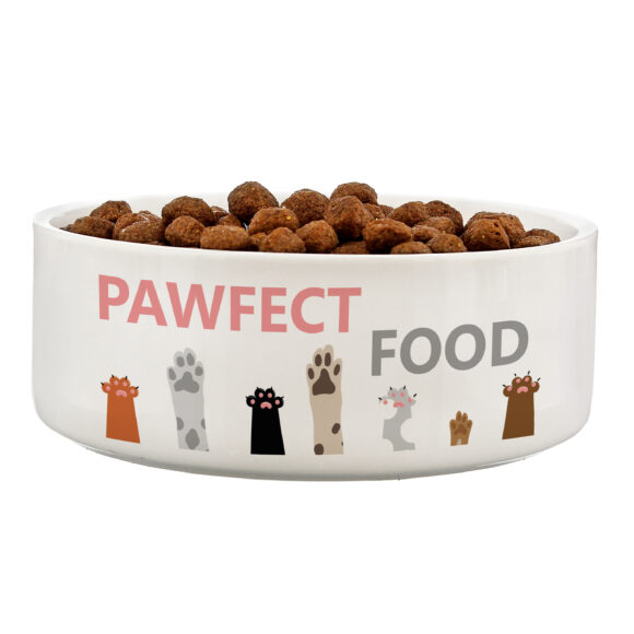 Bespoke Design Ceramic Pet Bowl